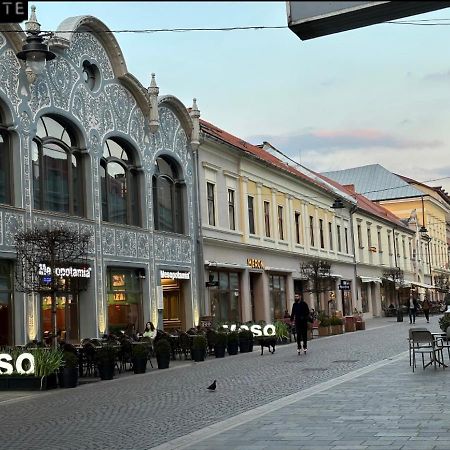 Aparte, Ultracentral Apartament In Moskovits Palace 拉迪亚 外观 照片