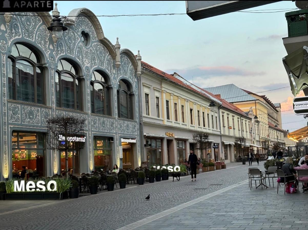 Aparte, Ultracentral Apartament In Moskovits Palace 拉迪亚 外观 照片
